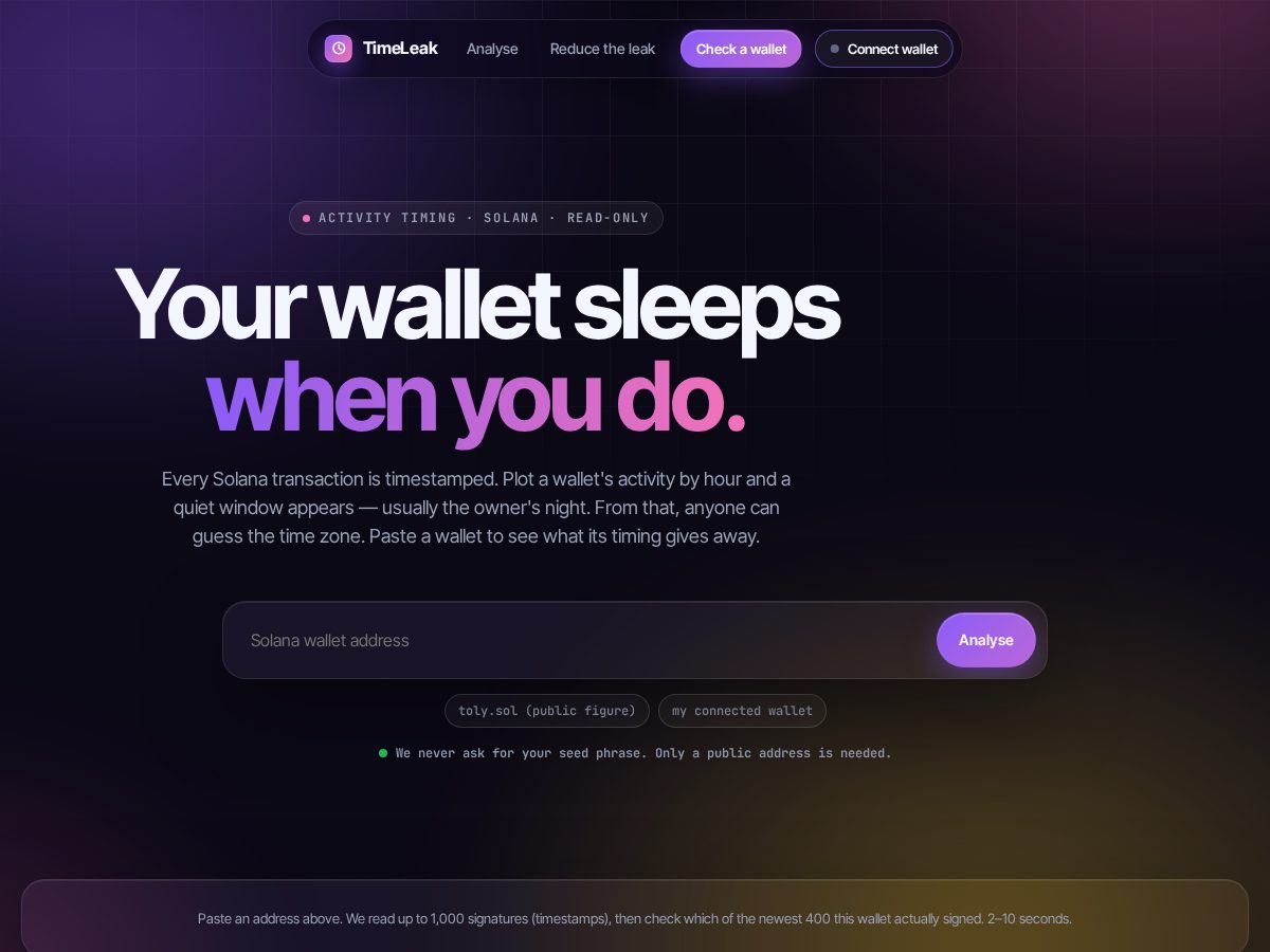 Landing-page snapshot of timeleak.fun