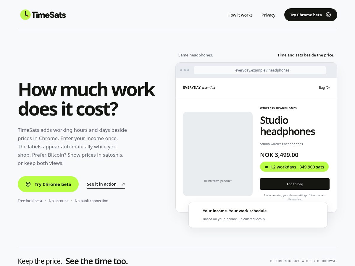 Landing-page snapshot of timesats.com