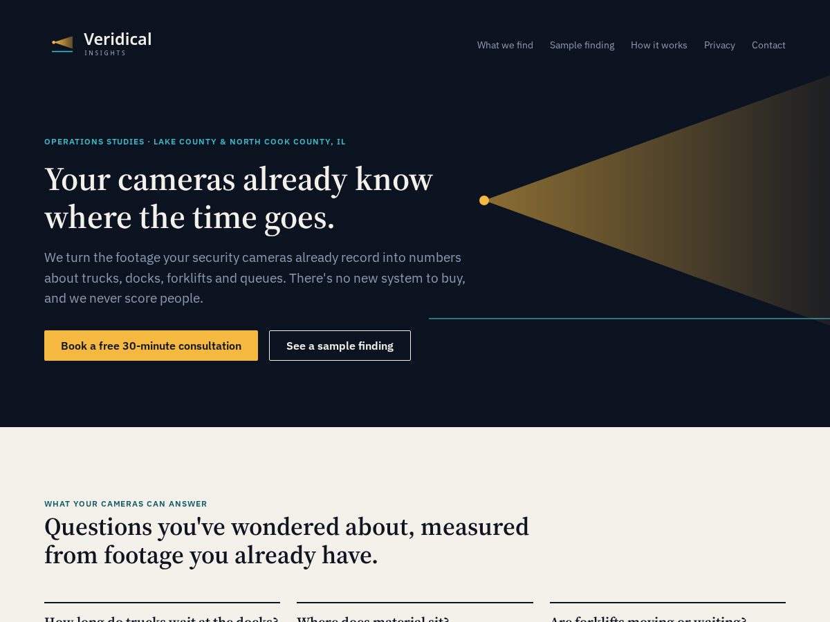 Landing-page snapshot of veridicalinsights.com