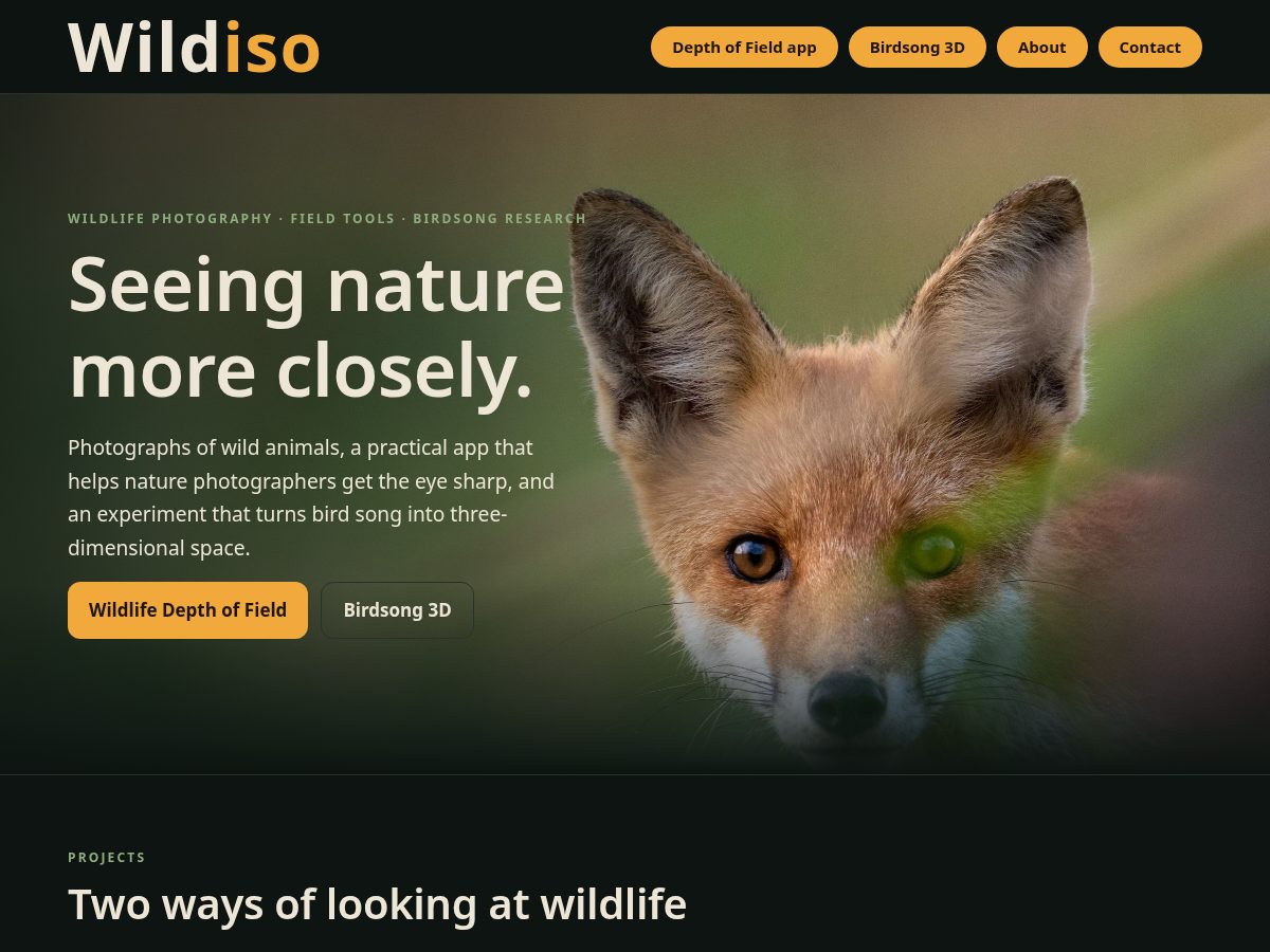 Landing-page snapshot of wildiso.com