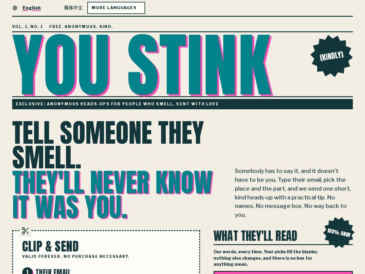 Landing-page snapshot of youstink.net