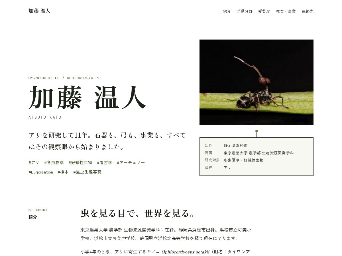 Landing-page snapshot of aritake.net