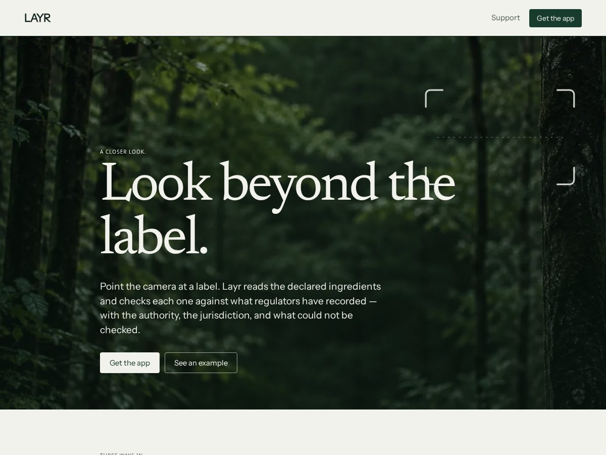 Landing-page snapshot of layrscan.com
