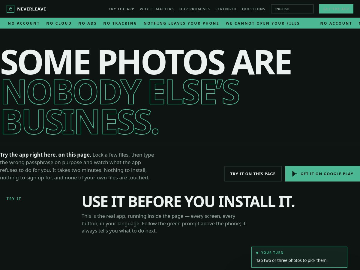 Landing-page snapshot of neverleave.top