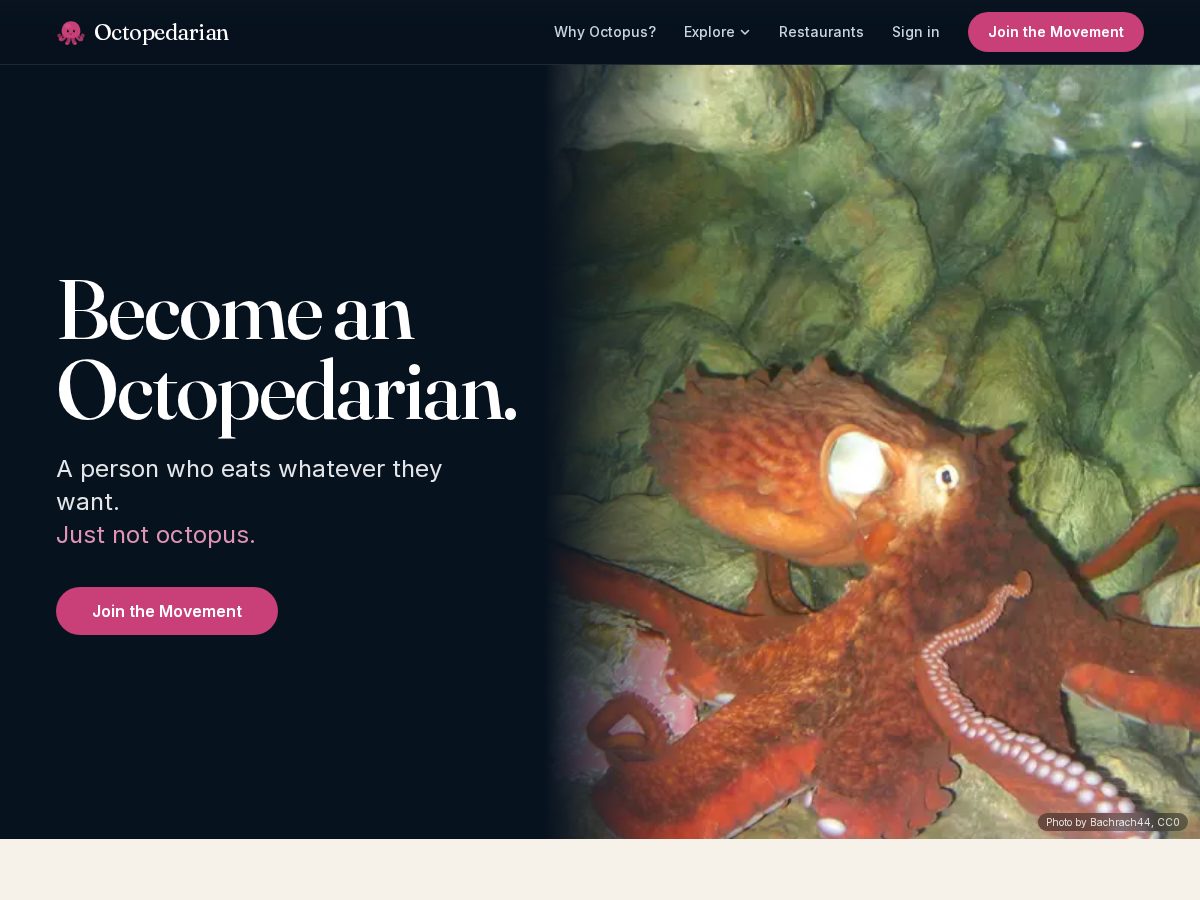 Landing-page snapshot of octopedarian.com