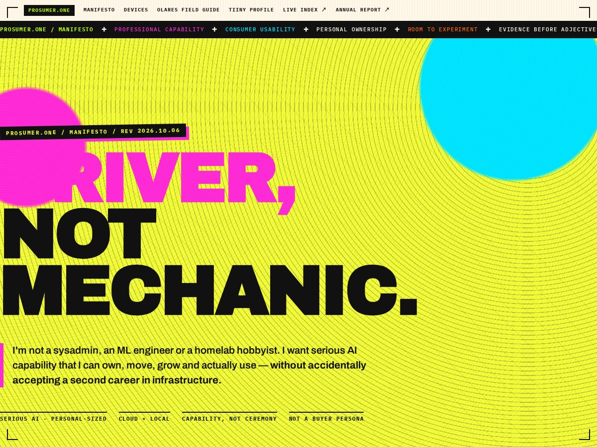Landing-page snapshot of prosumer.one