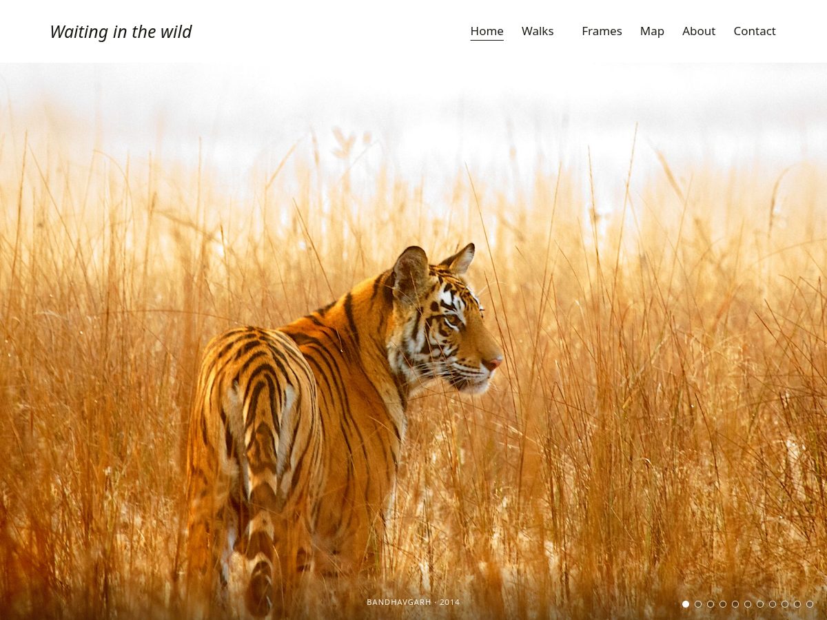 Landing-page snapshot of vijaybittu.com