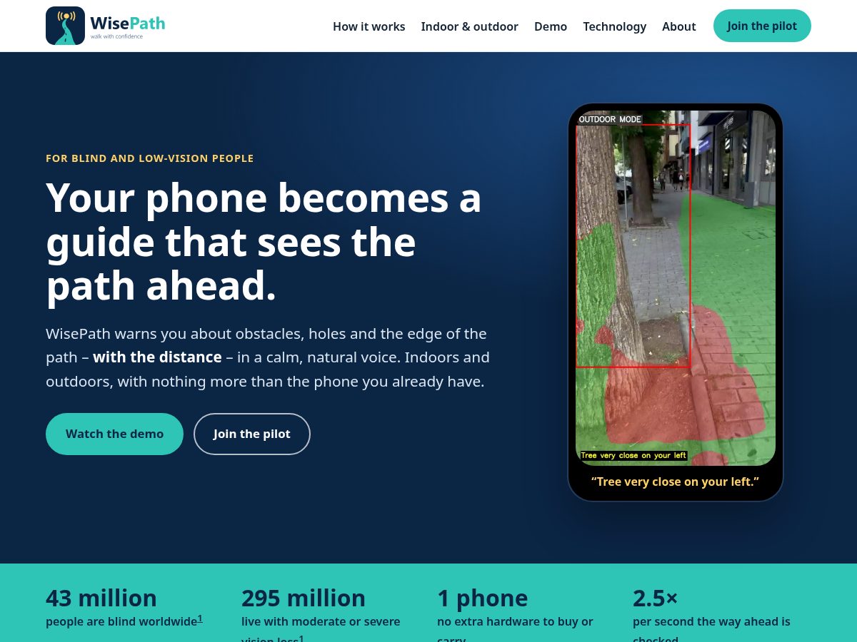 Landing-page snapshot of wisepath.site