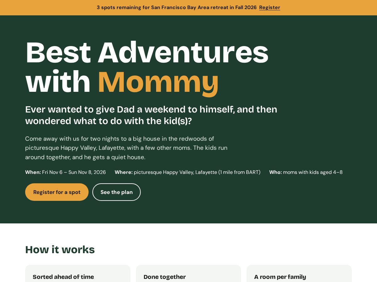 Landing-page snapshot of leavedaddyhome.com