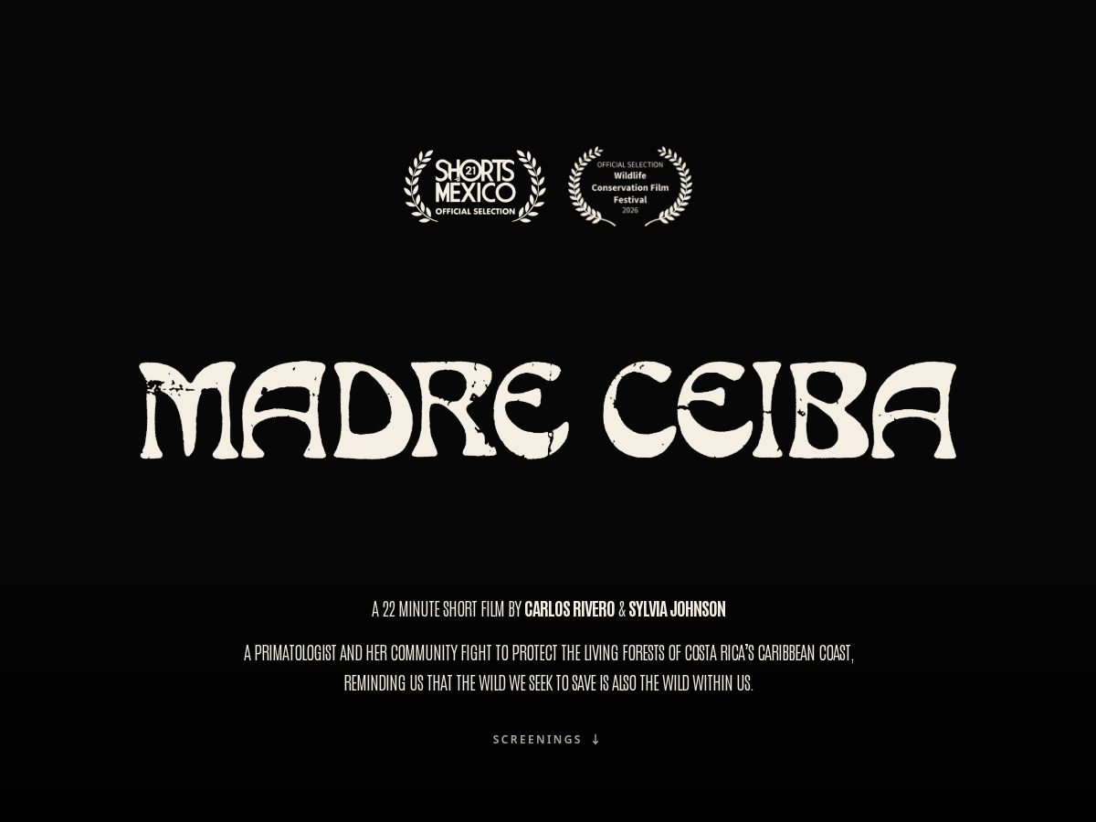 Landing-page snapshot of madreceibafilm.com