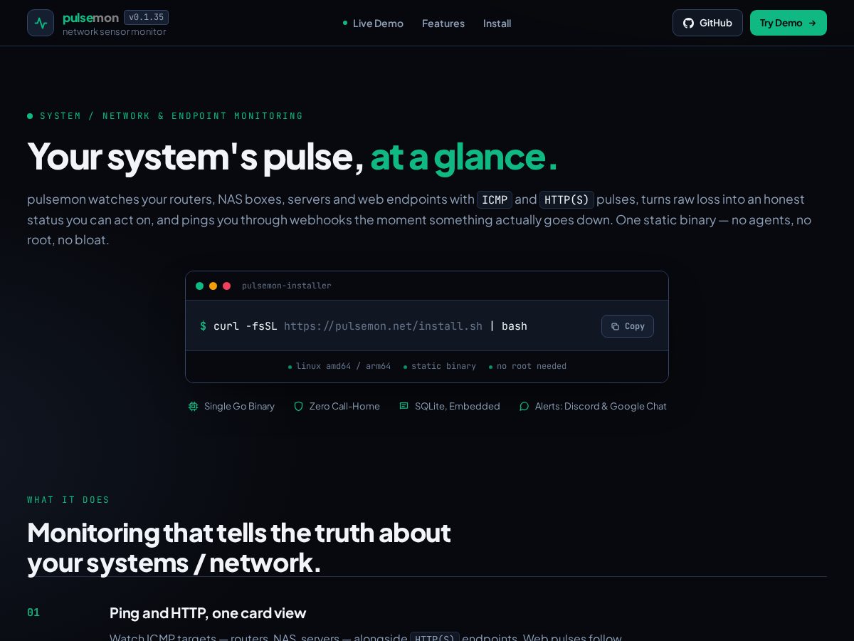 Landing-page snapshot of pulsemon.net