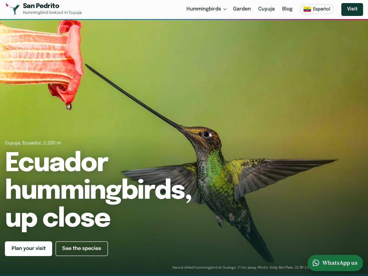 Landing-page snapshot of sanpedritohummingbirds.com