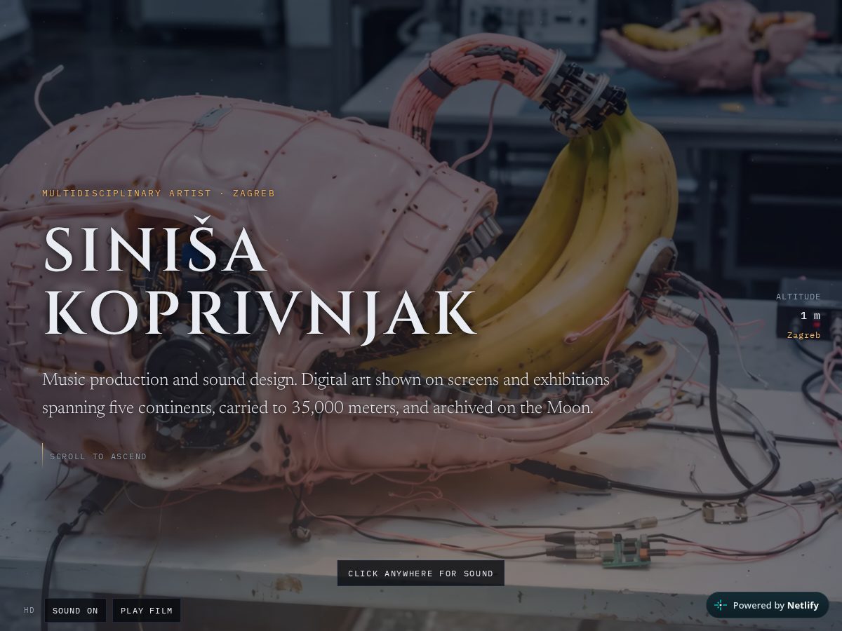 Landing-page snapshot of sinisakoprivnjak.com