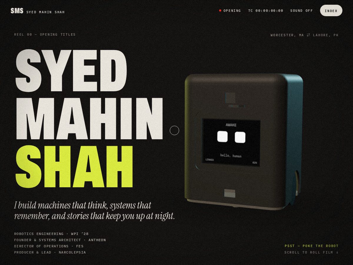 Landing-page snapshot of syedmahinshah.com