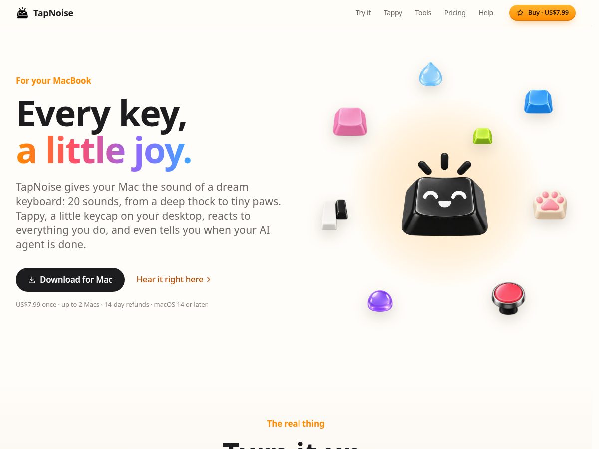 Landing-page snapshot of tapnoise.com