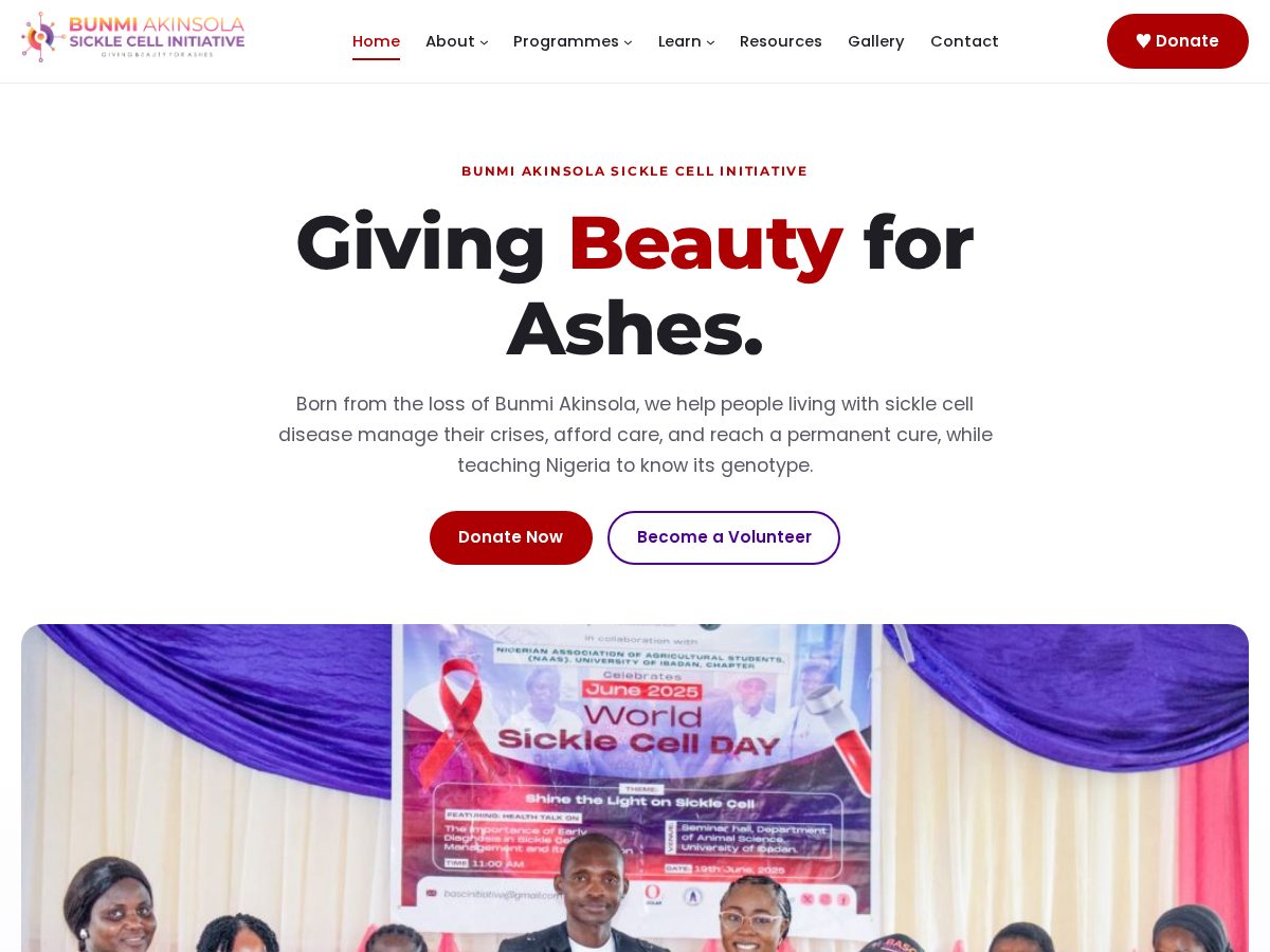 Landing-page snapshot of bascinitiative.org