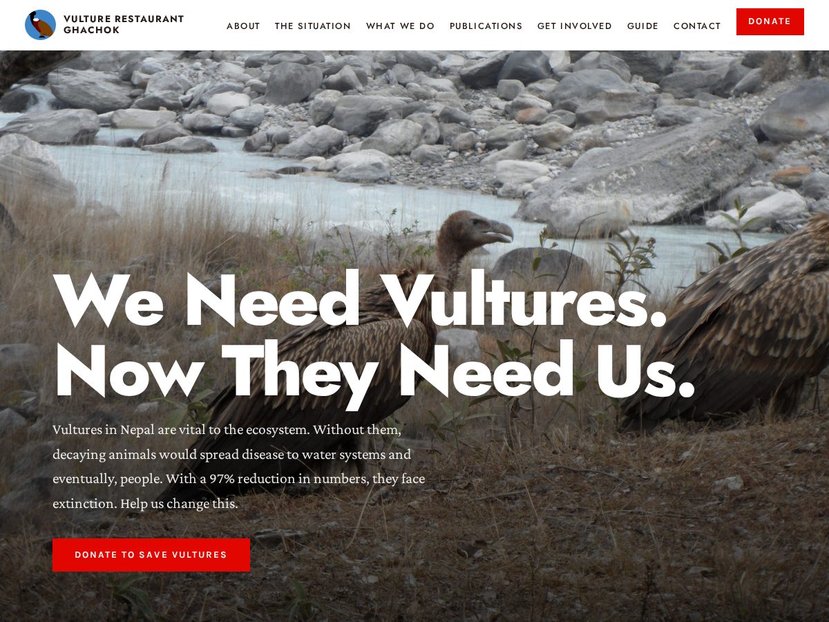 Landing-page snapshot of jatayuvultures.com