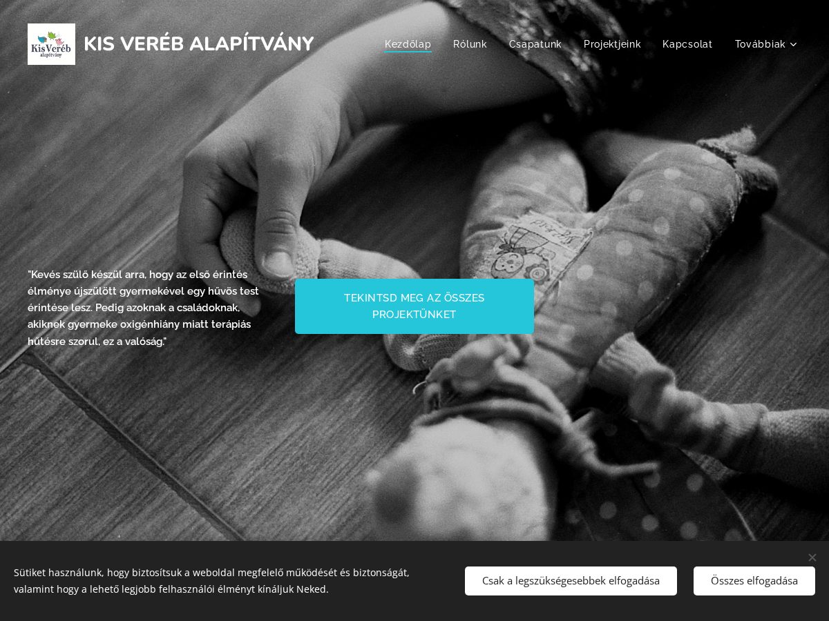 Landing-page snapshot of kisverebalapitvany.com