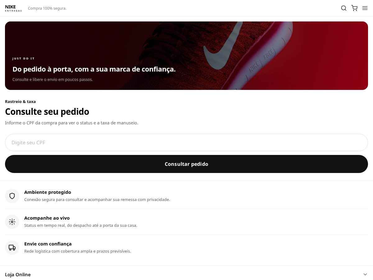 Landing-page snapshot of niketransporte.com