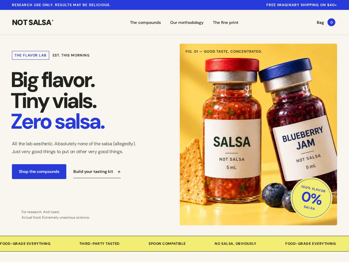 Landing-page snapshot of notsalsa.online