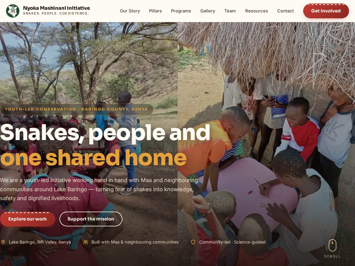 Landing-page snapshot of nyokamashinani.com