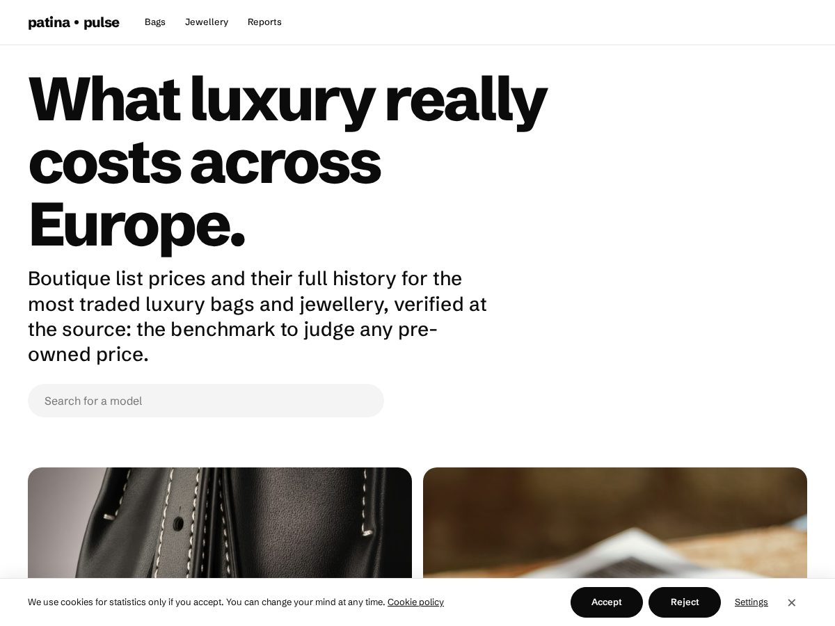Landing-page snapshot of patinapulse.com