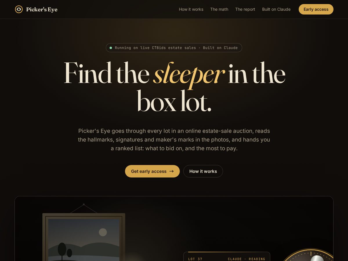 Landing-page snapshot of pickerseye.com
