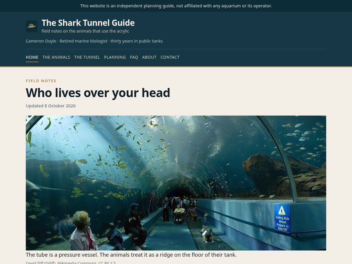 Landing-page snapshot of shark-tunnel-tickets.com