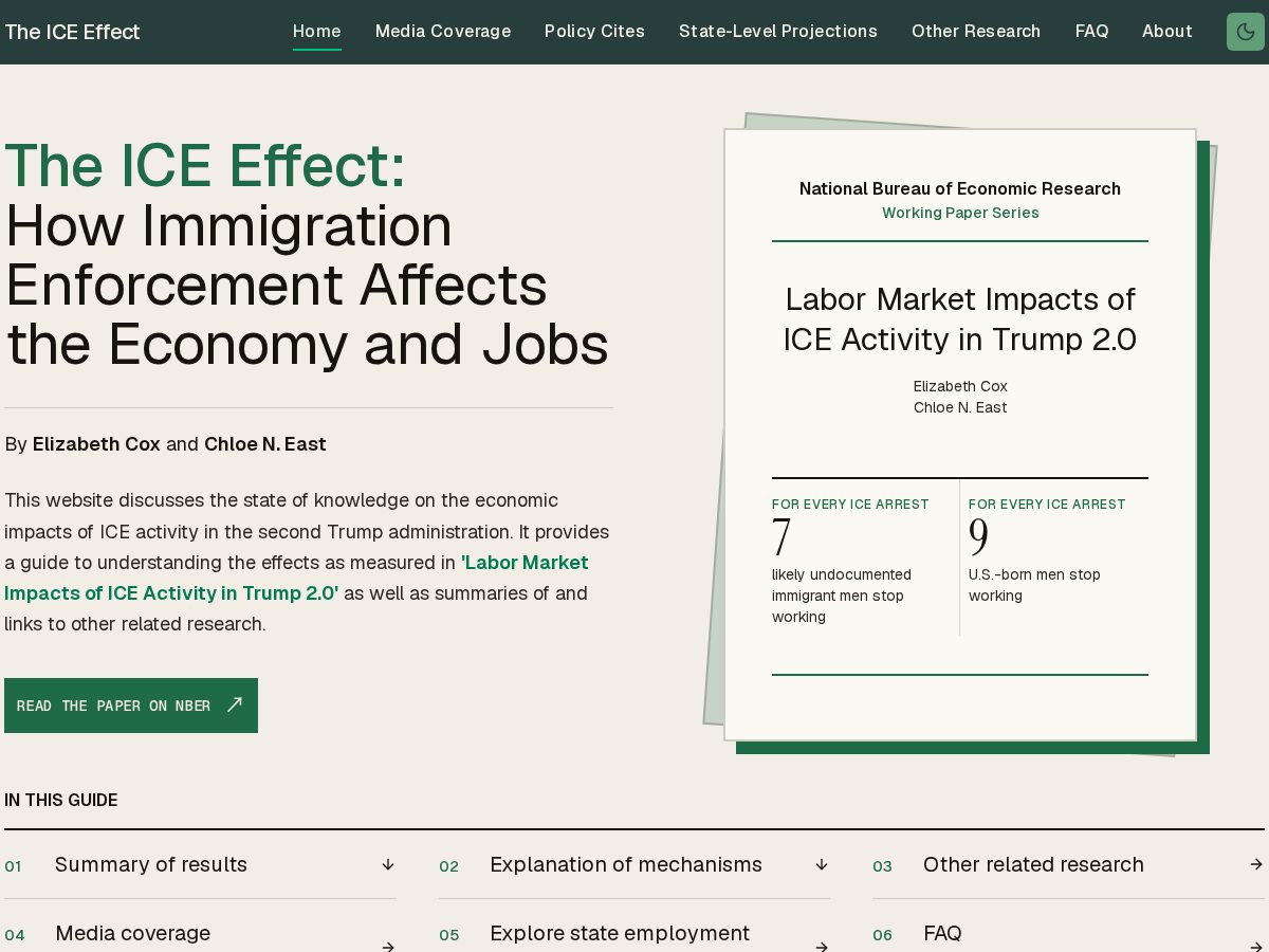 Landing-page snapshot of theiceeffect.org