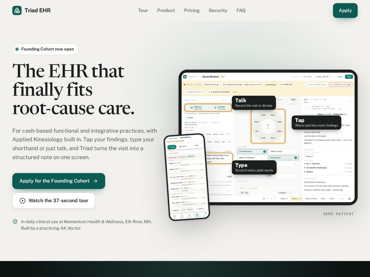 Landing-page snapshot of triadehr.com