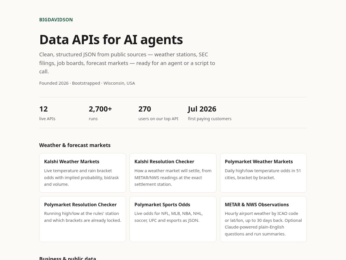 Landing-page snapshot of bigdavidson.dev