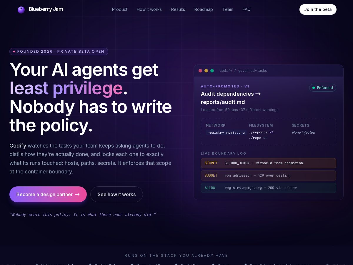 Landing-page snapshot of blueberryjam.site