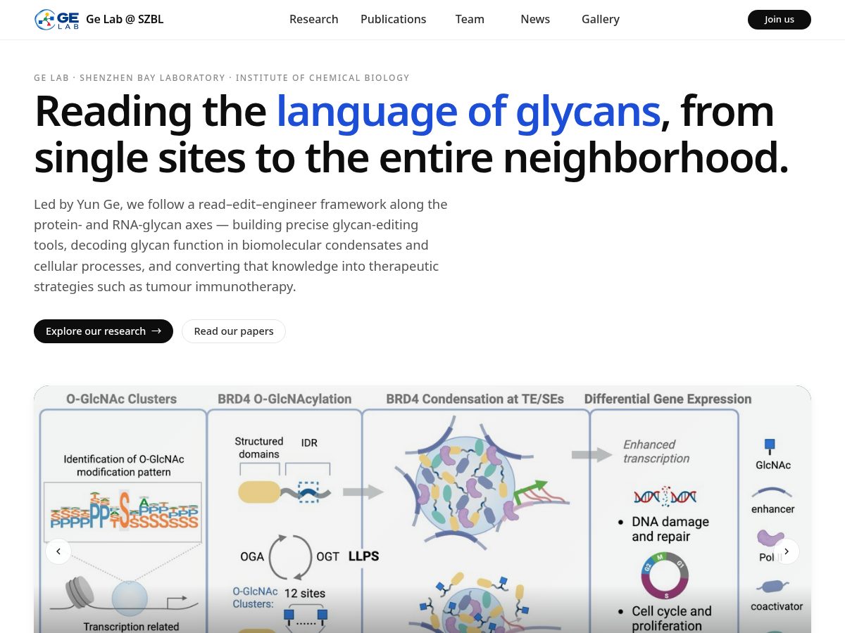 Landing-page snapshot of gelabglycochembiol.com