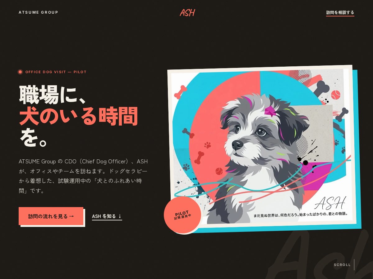 Landing-page snapshot of hiash.org