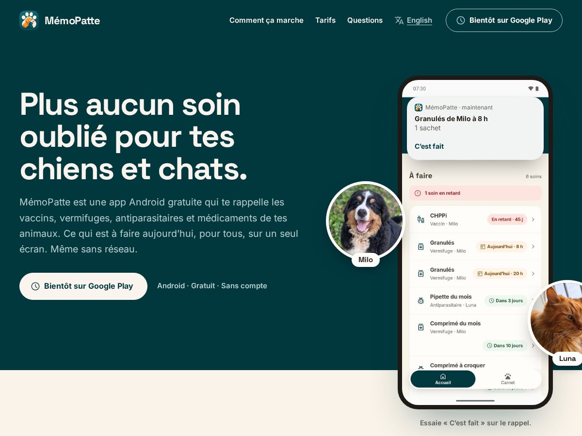 Landing-page snapshot of memopatte.app