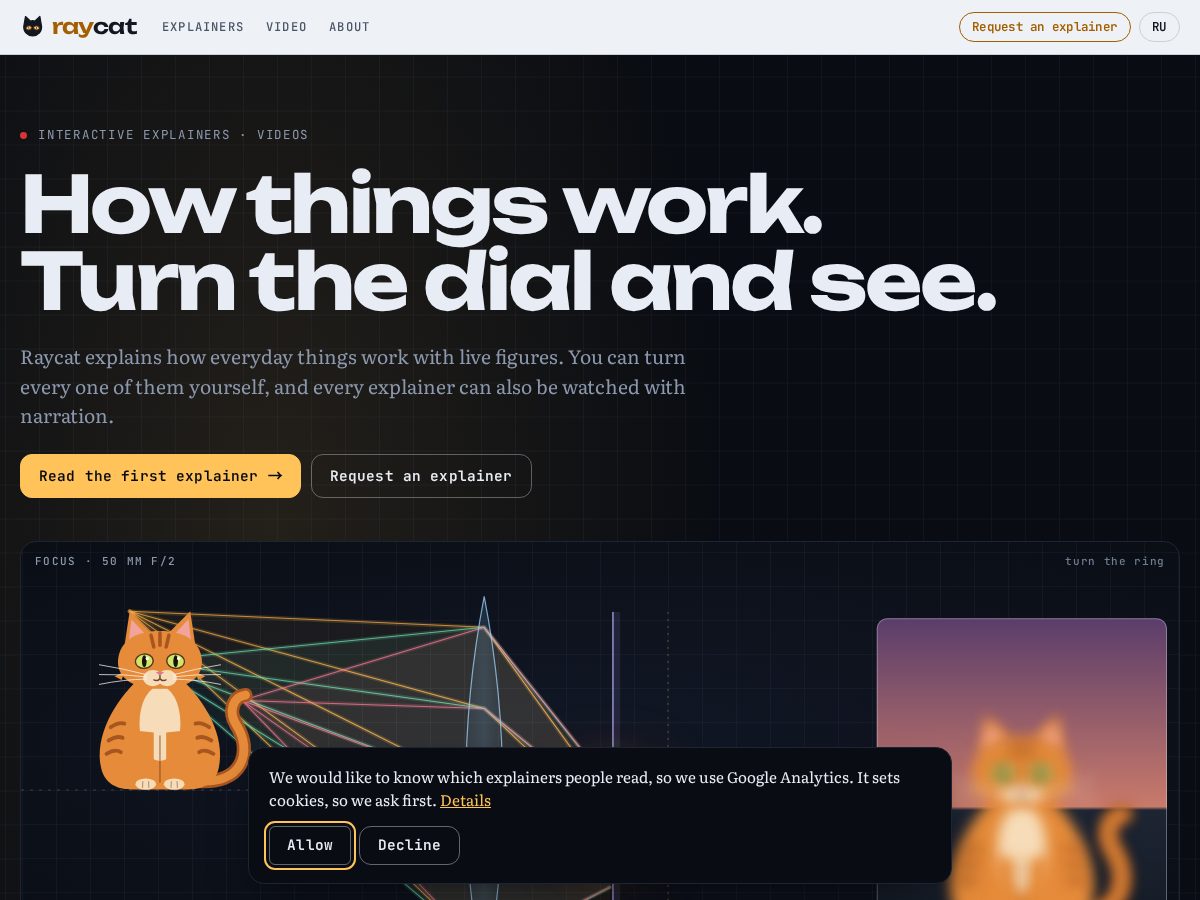 Landing-page snapshot of raycat.org