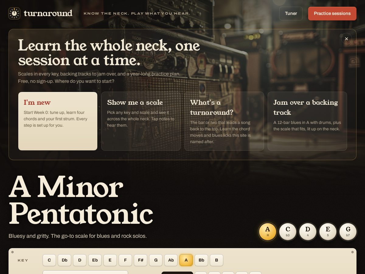 Landing-page snapshot of turnaroundguitar.com