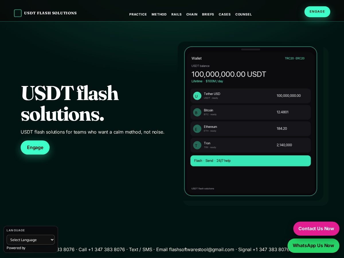 Landing-page snapshot of usdtflashsolutions.com