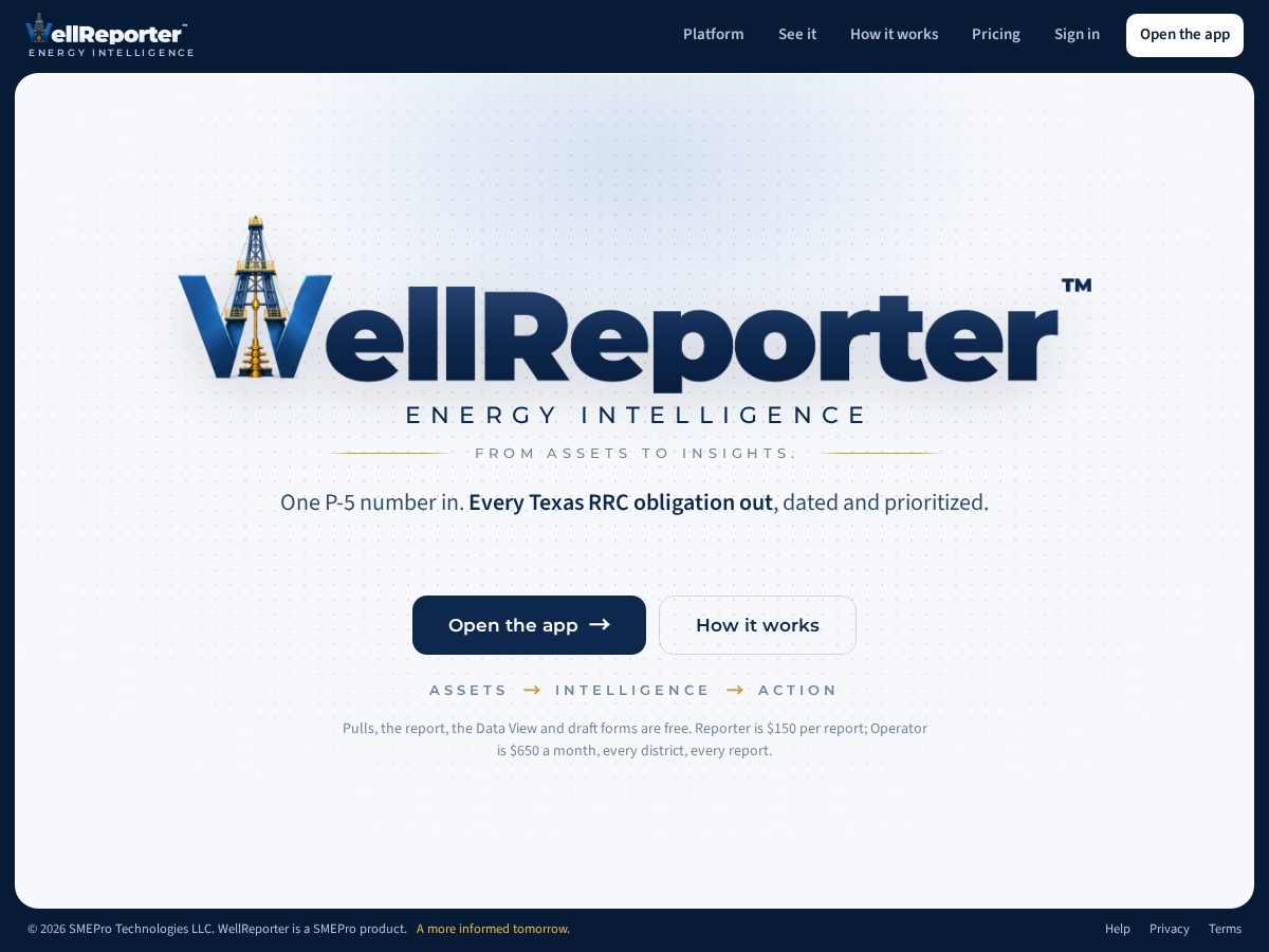 Landing-page snapshot of wellreporter.com
