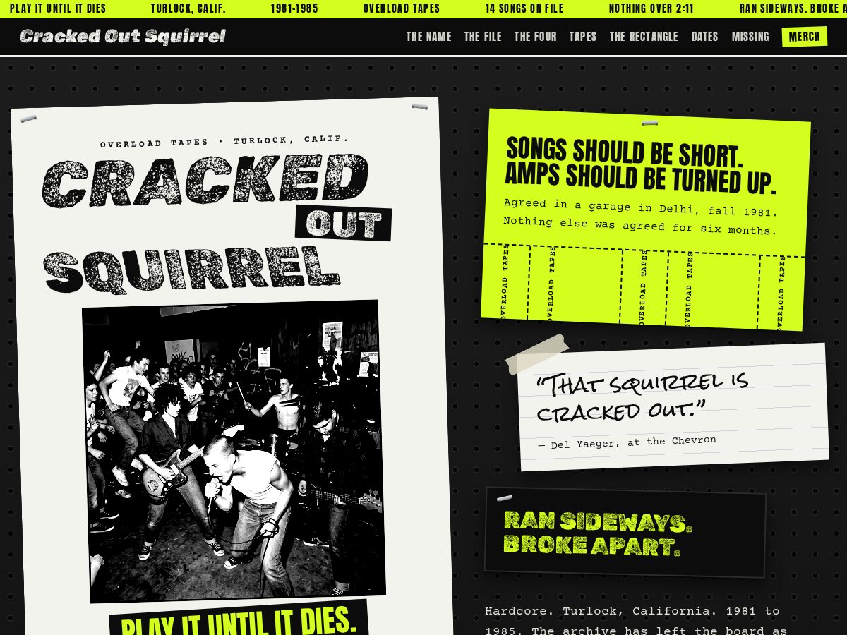 Landing-page snapshot of crackedoutsquirrel.com