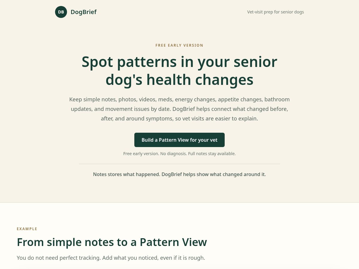 Landing-page snapshot of dogbrief.online