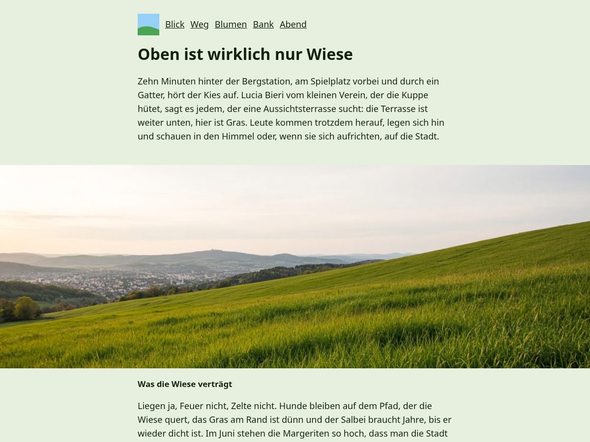 Landing-page snapshot of gurtenwiese.org