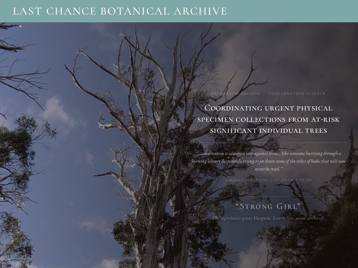 Landing-page snapshot of lastchancebotanical.org
