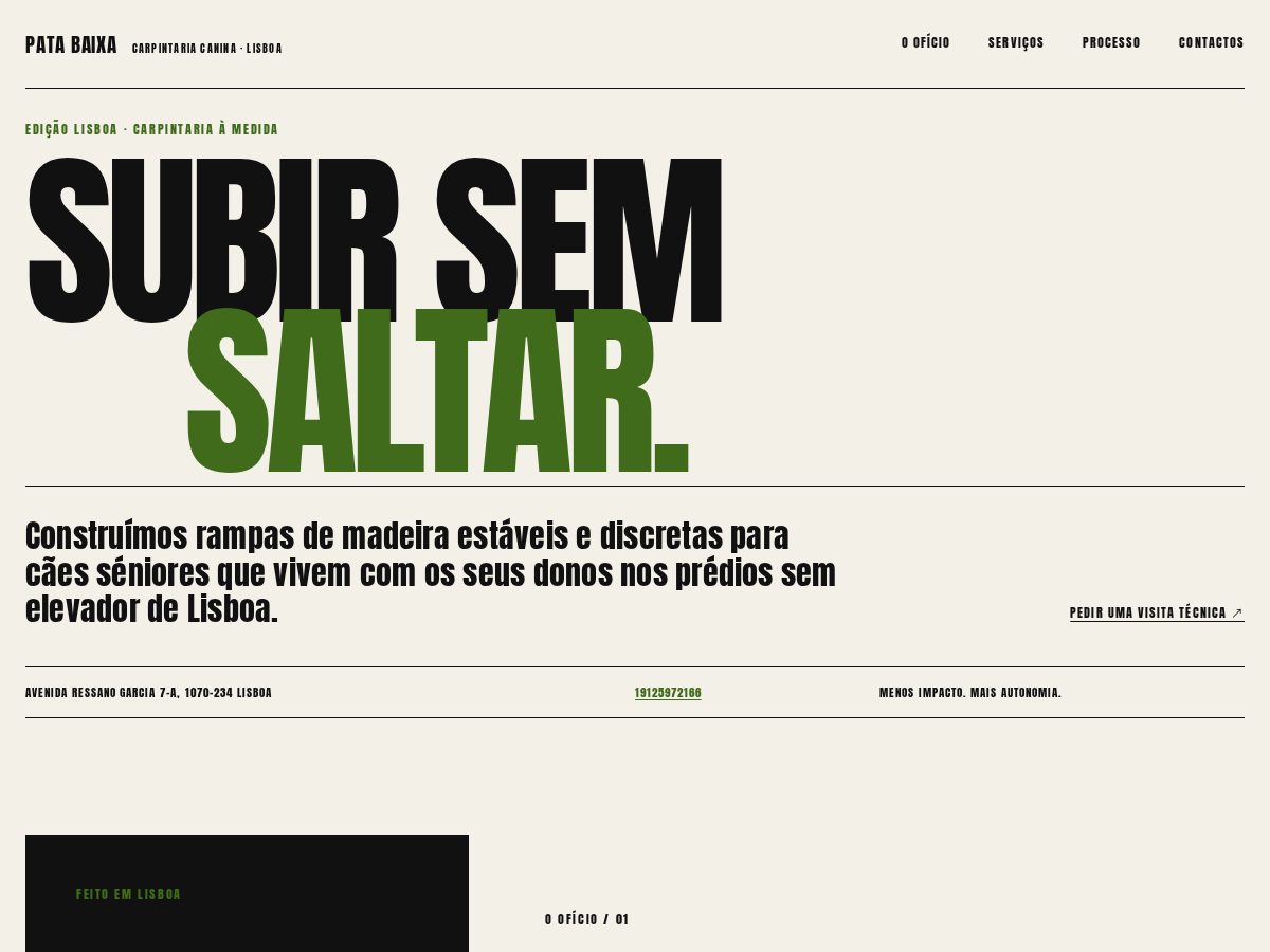 Landing-page snapshot of patabaixa.online