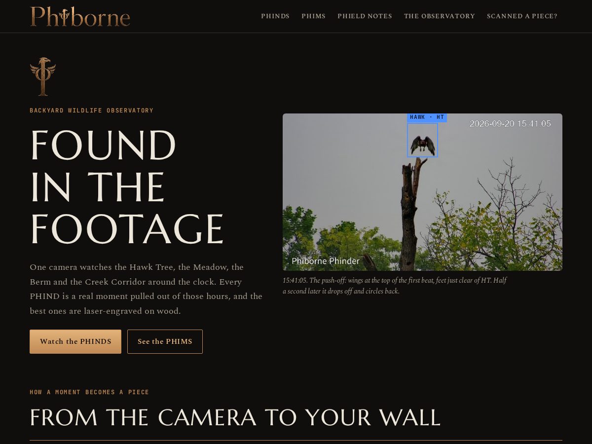 Landing-page snapshot of phiborne.com