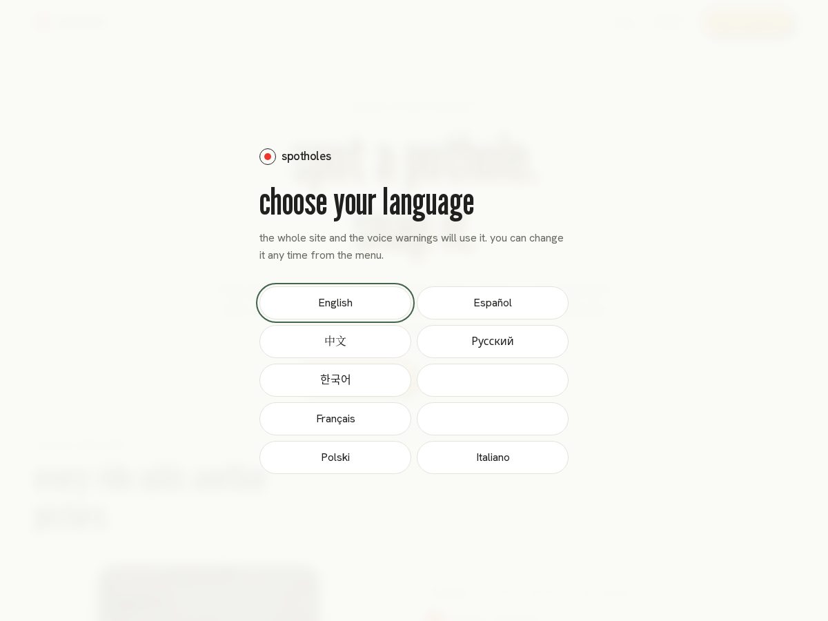 Landing-page snapshot of spotholes.nyc
