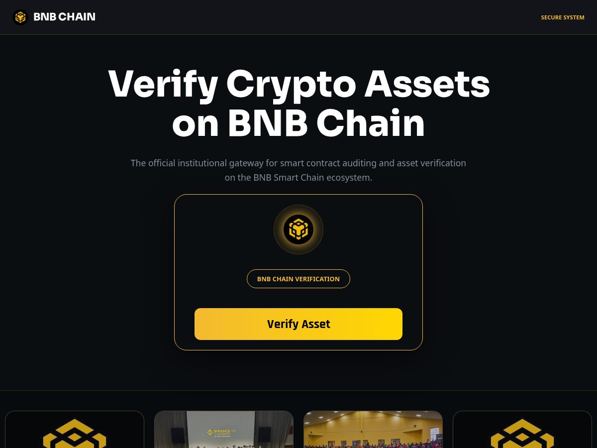 Landing-page snapshot of usdtbep20.life