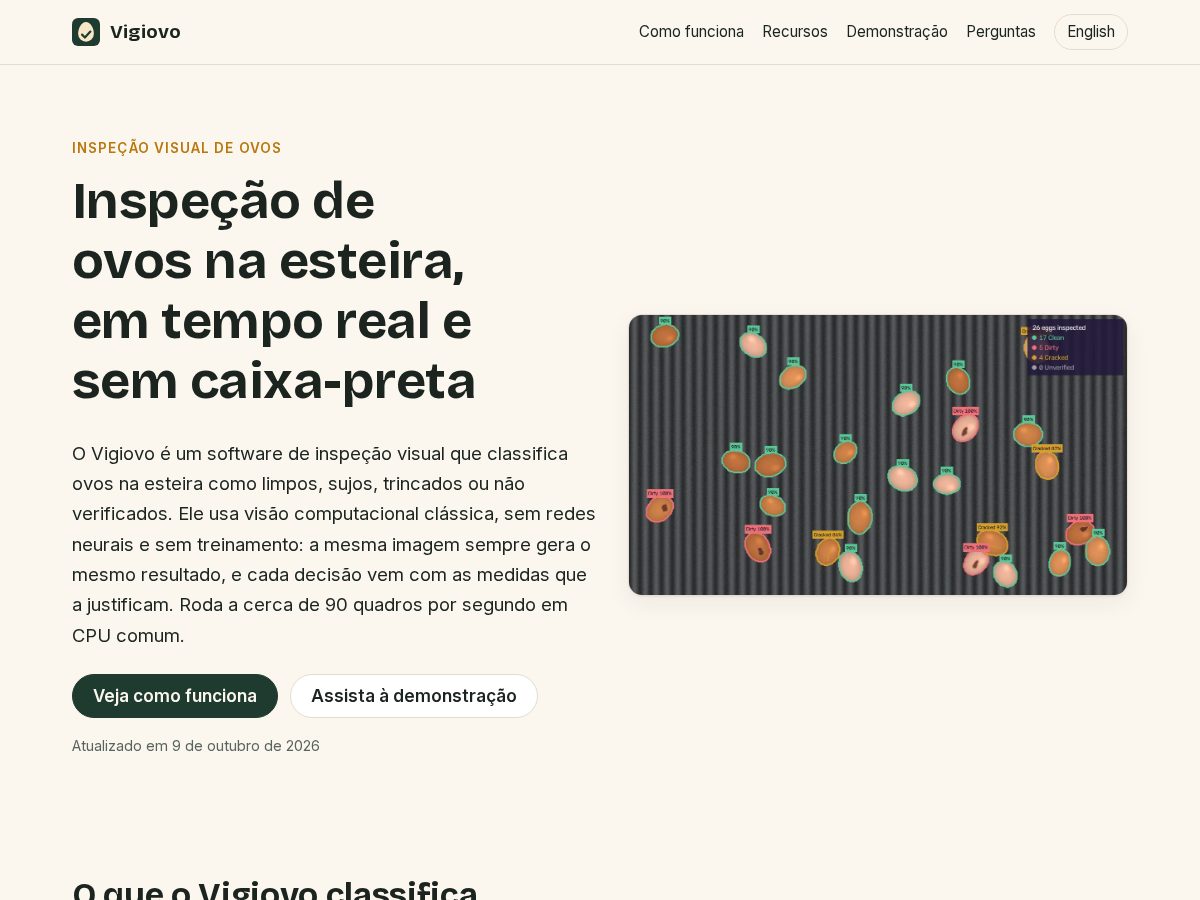 Landing-page snapshot of vigiovo.com