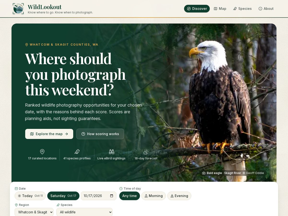 Landing-page snapshot of wildlookout.com