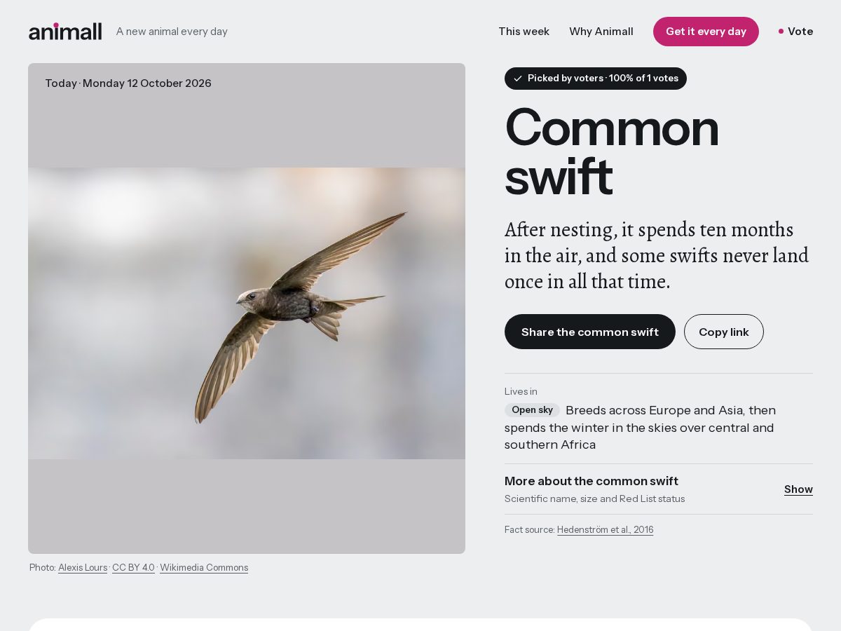 Landing-page snapshot of animall.app
